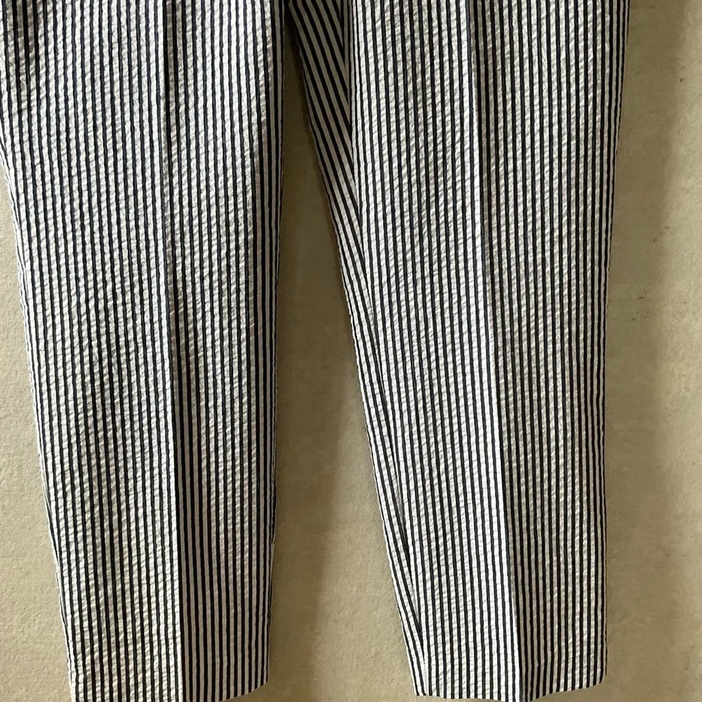 Zara pants. Navy blue and white. NWT. Size XL
